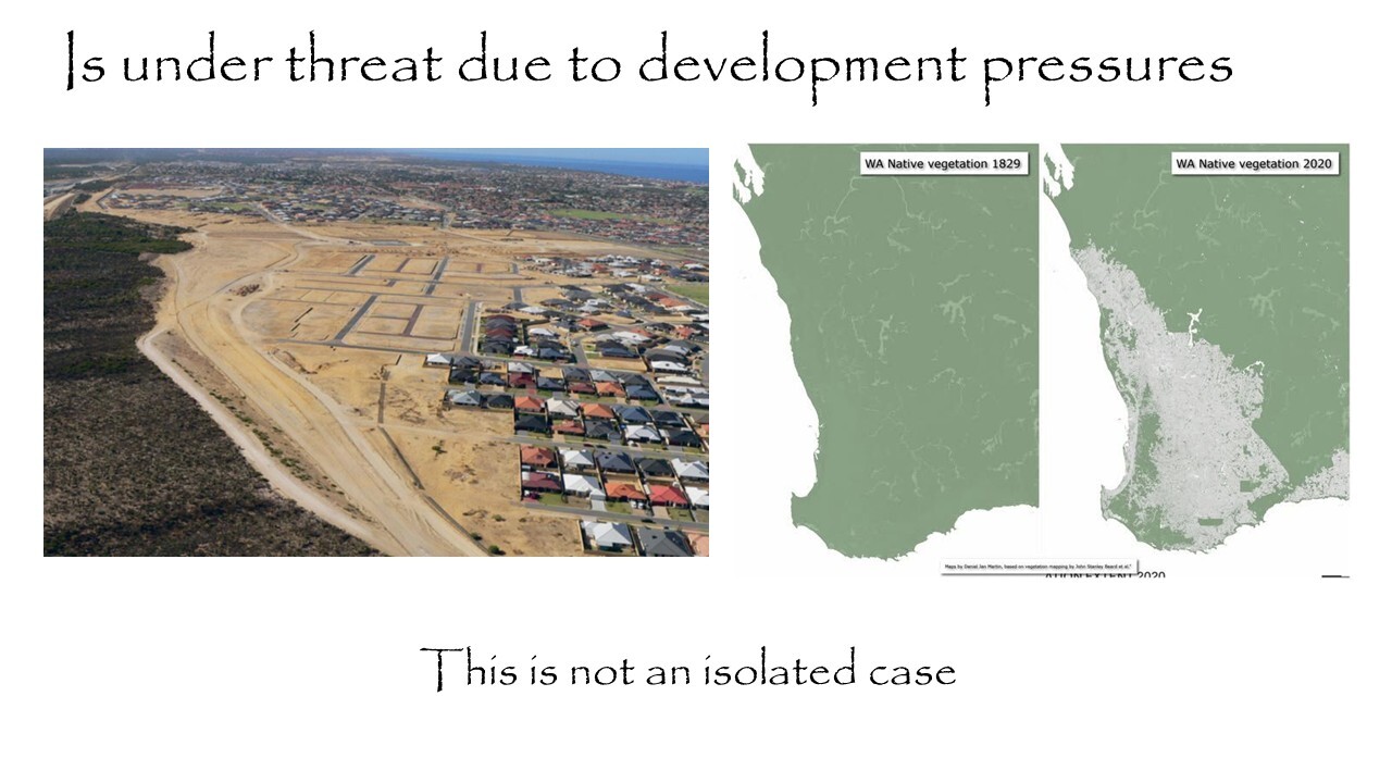 Slide 7