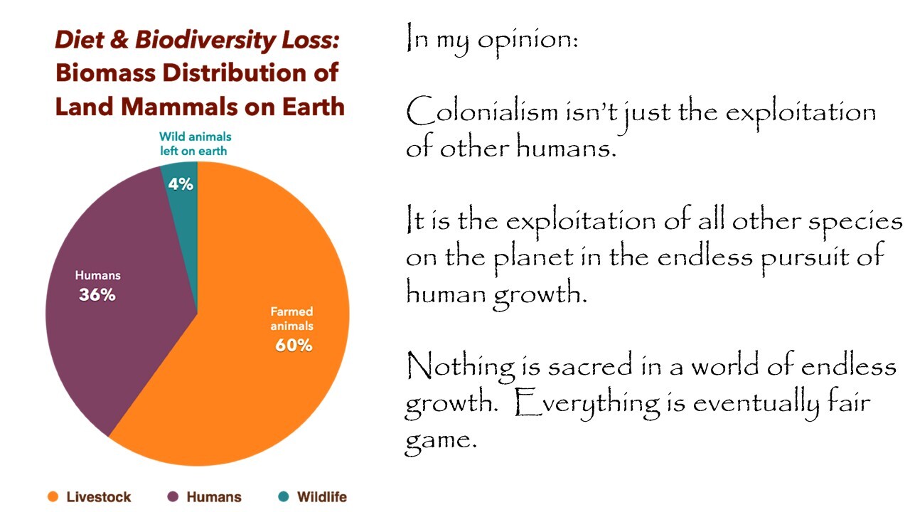 Slide 10