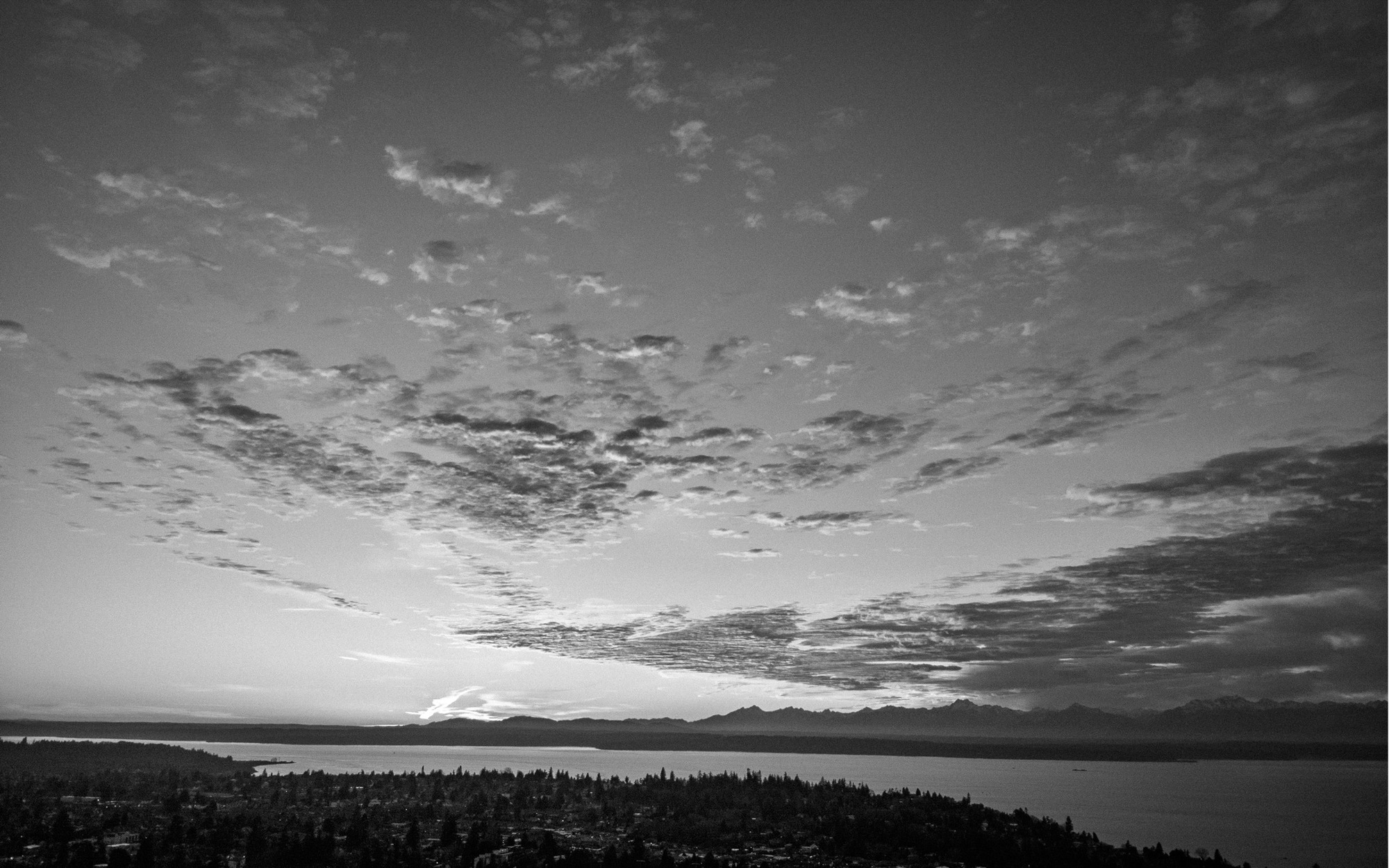 201-whats-real-header