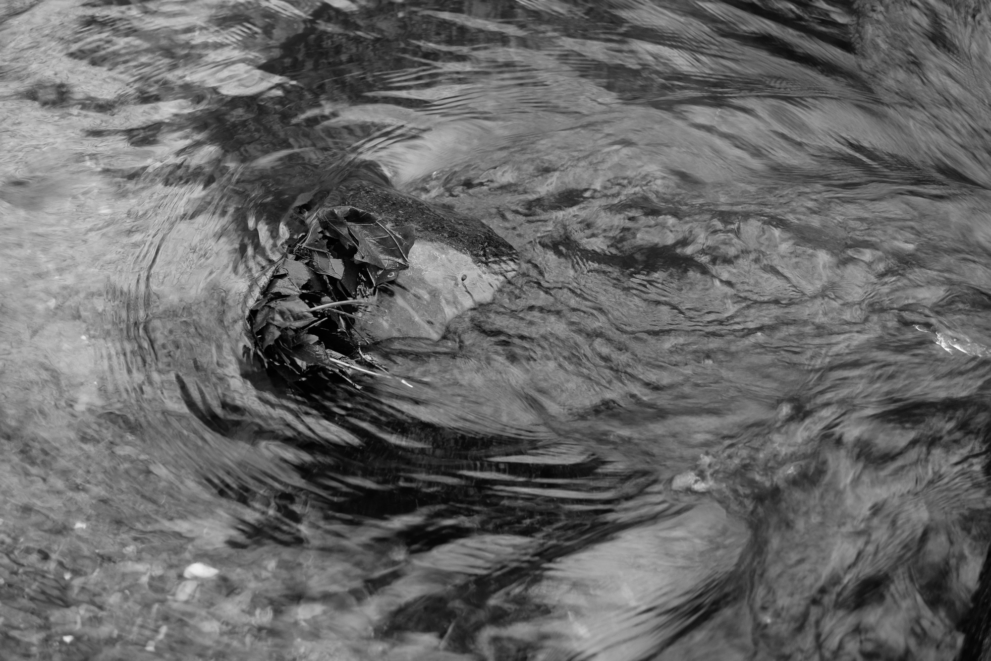 Leaf Dam Camera: Fujifilm X-T1 Shutter speed: 1/30 sec Aperture: f/2.8 ISO: 200 Photo: Jeff Carlson