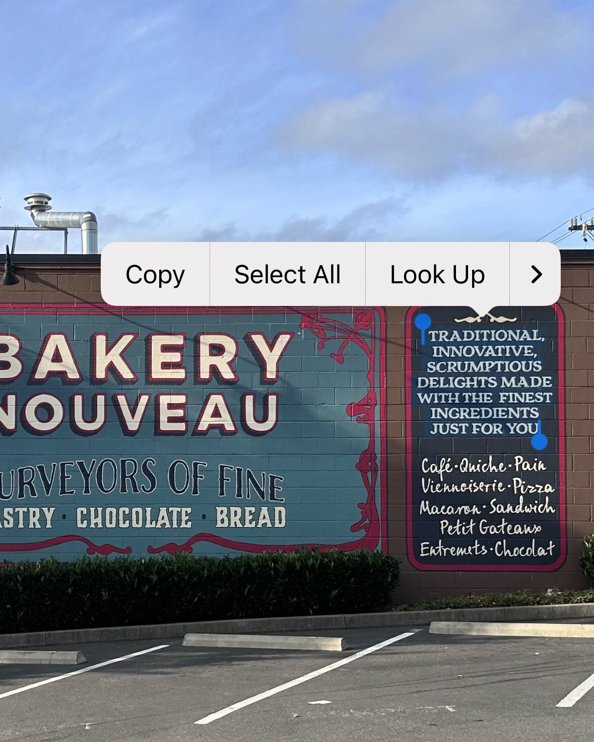 Select text in any image