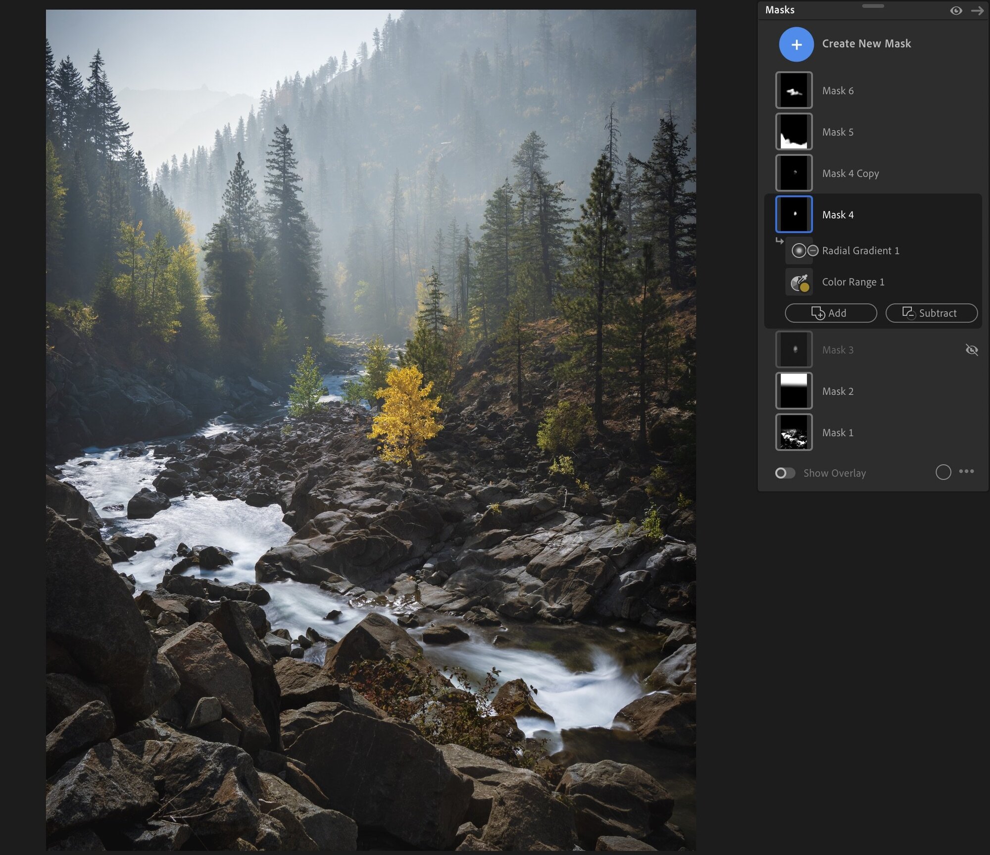 Editing Yellow Tree in Lightroom with multiple masks