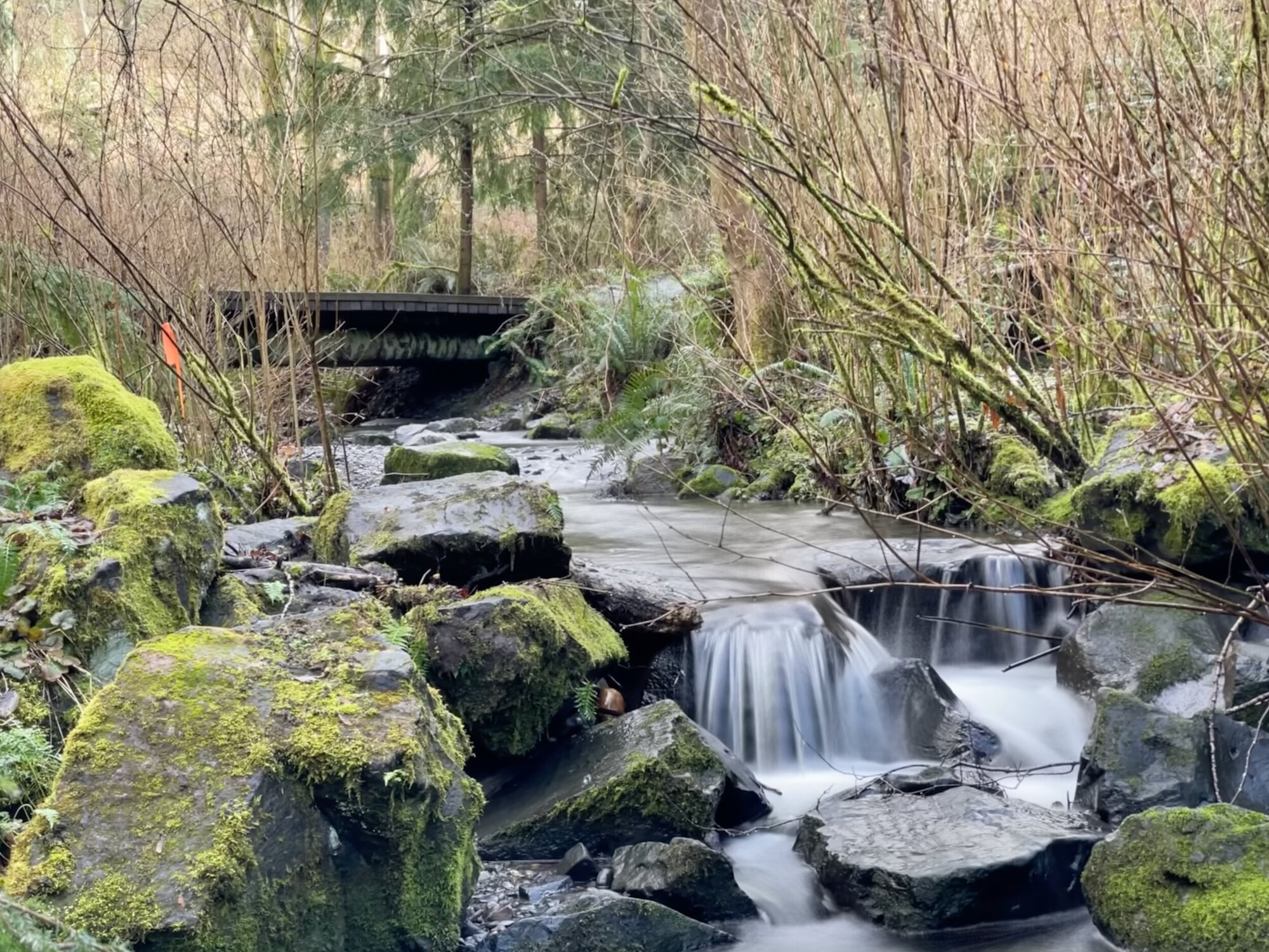 A Live Photo turned into a long-exposure image