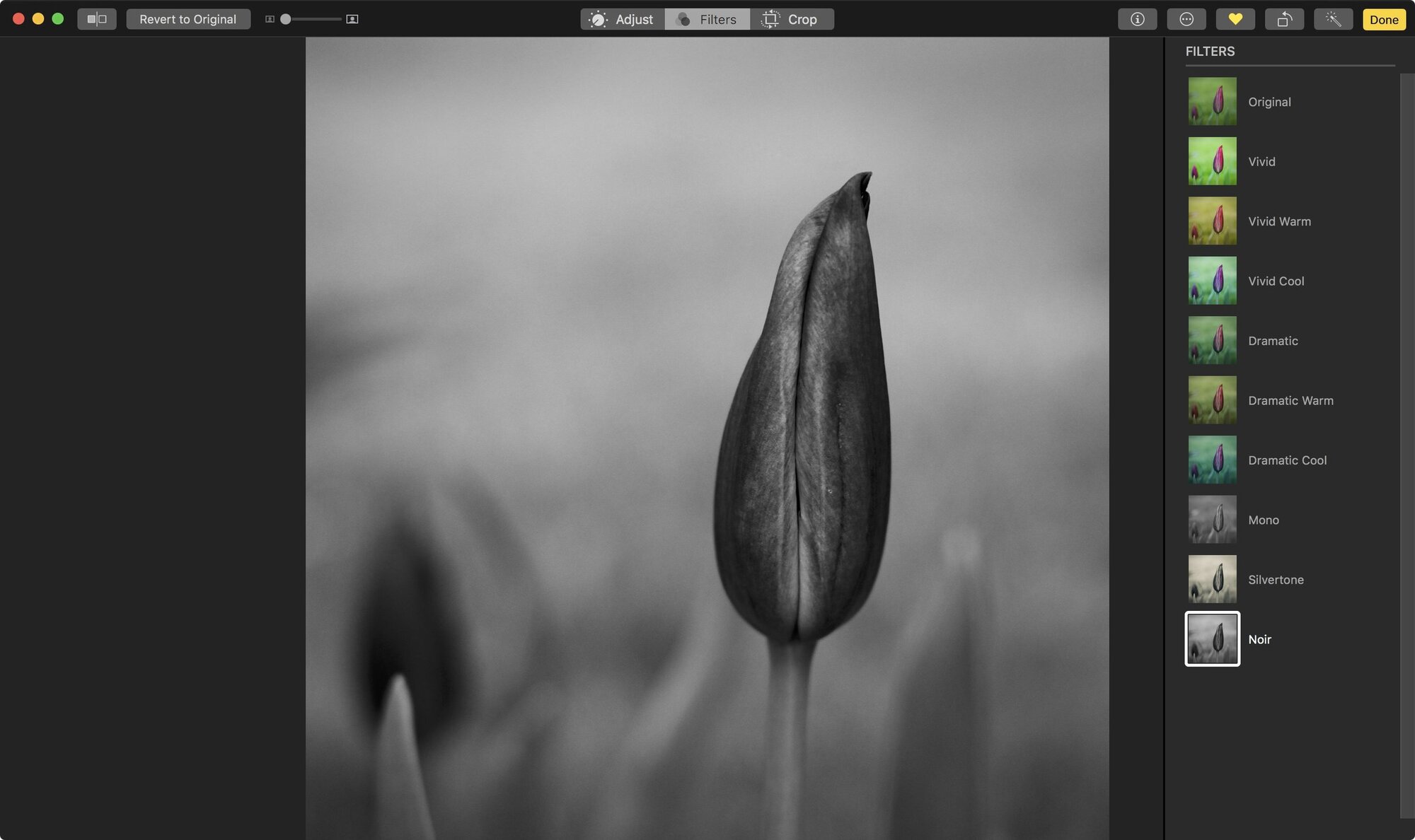 The Noir filter in Photos gives the image this haunting look.