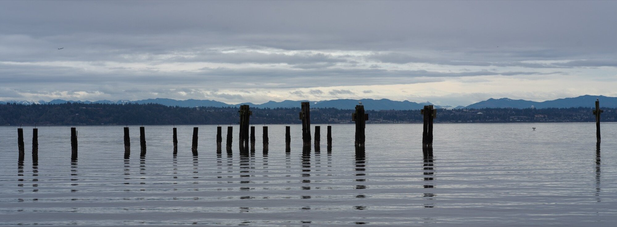An XPan crop made in-camera. At the DPReview sample gallery, click this image to zoom in on the bird with its wings outstretched at right near the horizon. (Photo by Jeff Carlson)