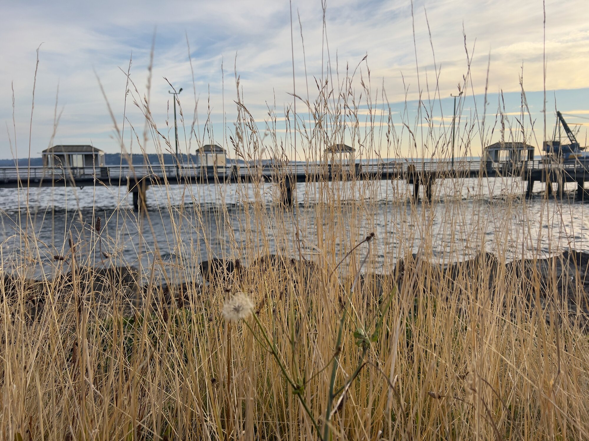 iPhone 13 Pro Main Camera (Photo by Jeff Carlson)