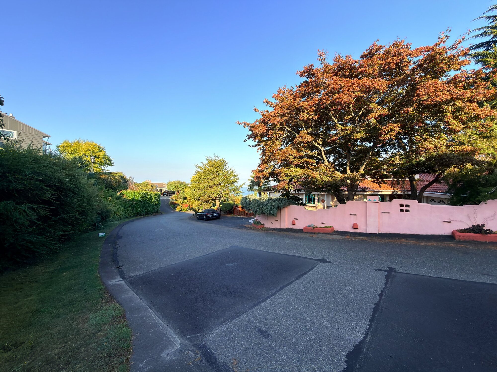 iPhone 17 Pro Ultra-Wide Camera, 0.5x zoom