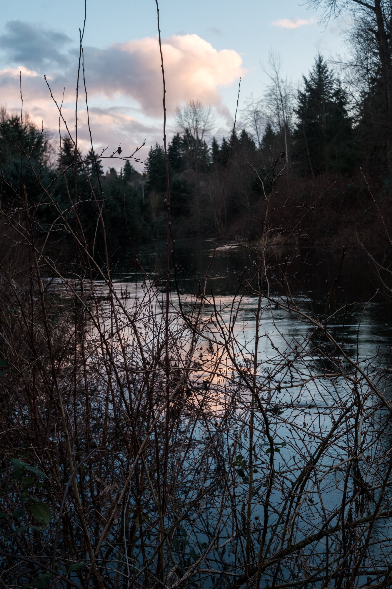 Creek Camera: Fujifilm X-T3 Lens: Fujifilm XF 27mm f/2.8 Shutter speed: 1/80 sec Aperture: f/9.0 ISO: 640 Photo: Jeff Carlson