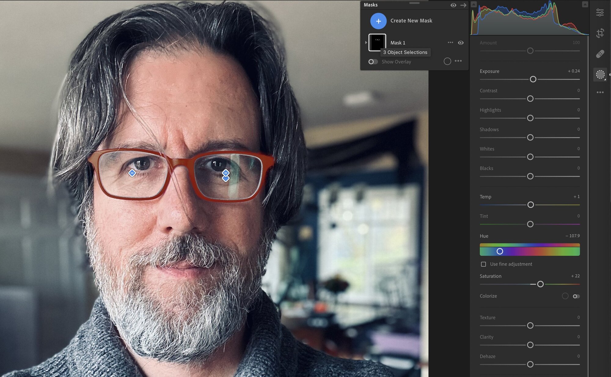 Using the Object Masking tool, the glasses are masked cleanly. (Photo by Jeff Carlson)