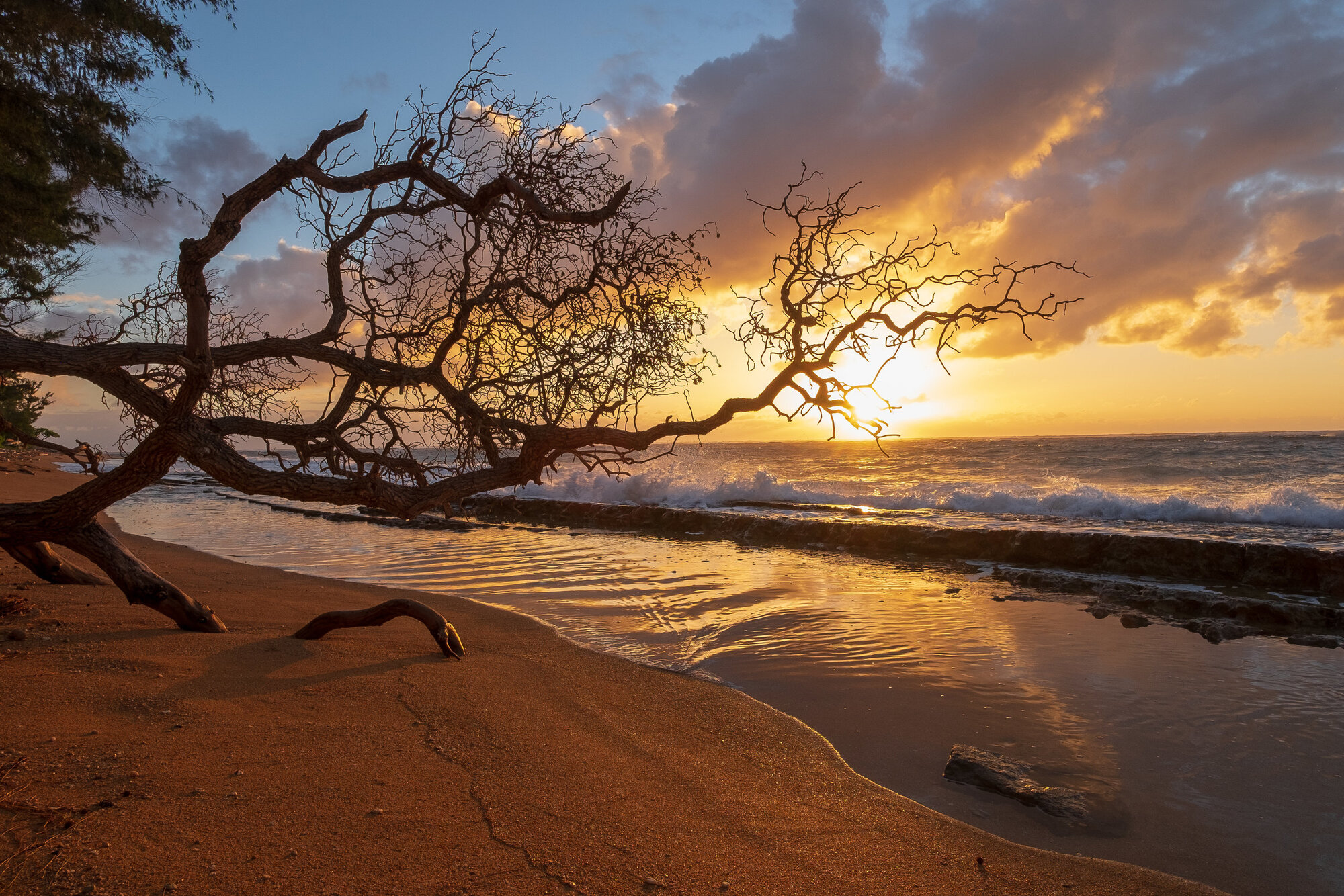 Scraggly Sunrise, Kapa’a Camera: Fujifilm X-T1 Shutter speed: 1/100 sec Aperture: f/8 ISO: 200 Photo: Jeff Carlson
