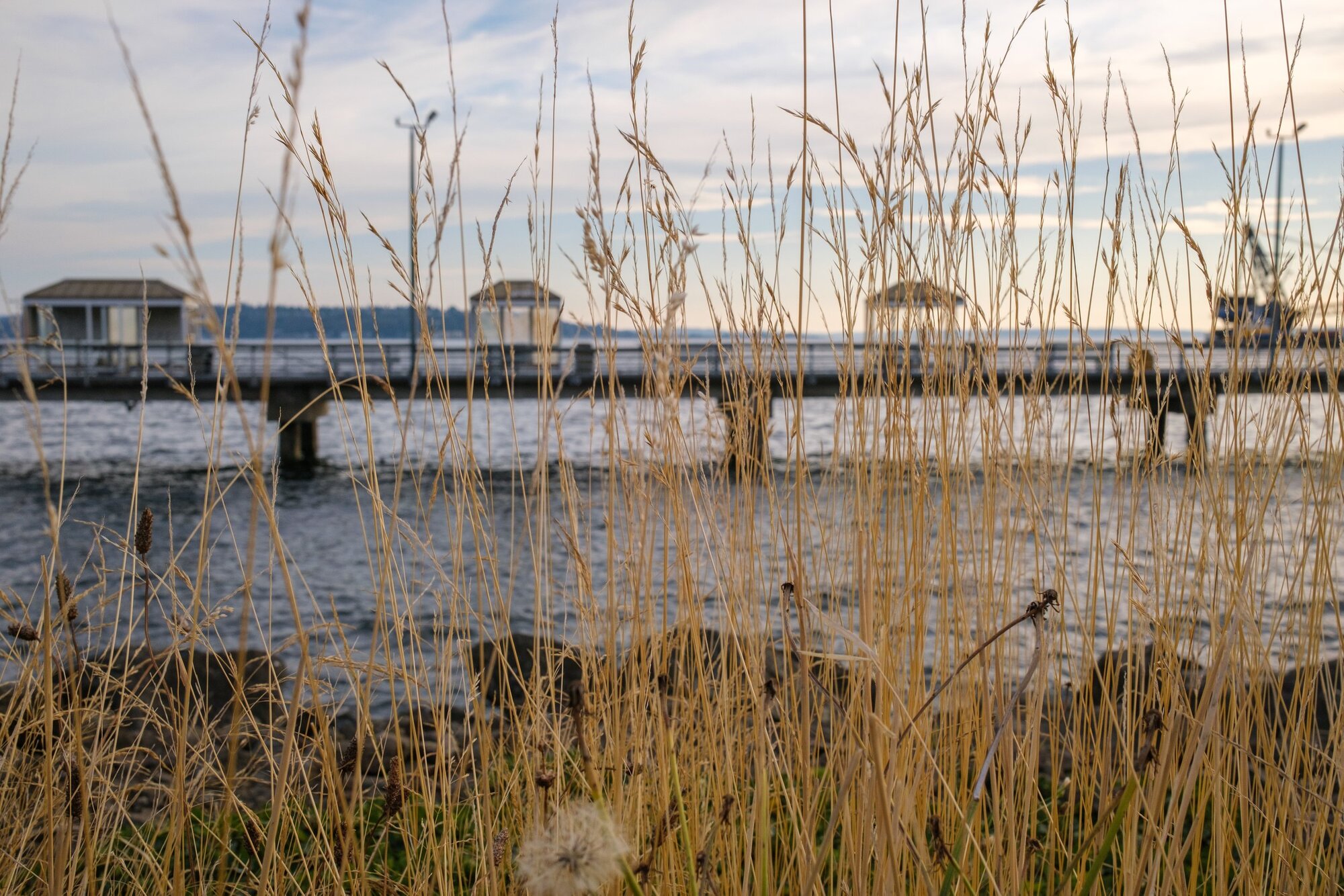 Fujifilm X100V (Photo by Jeff Carlson)