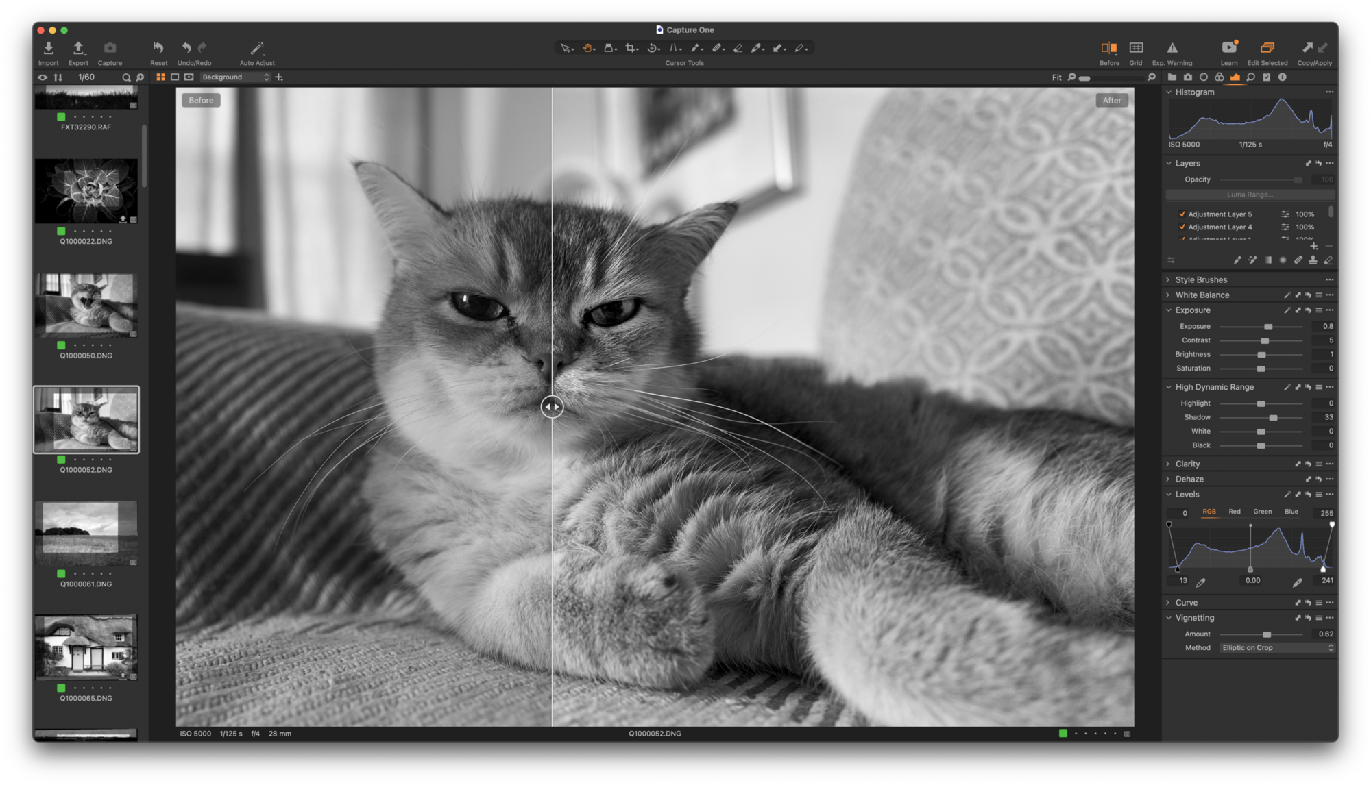 Before and After in Capture One