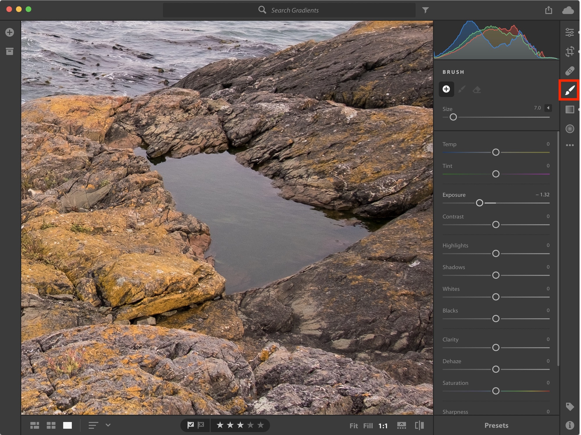 Originally, this natural pool was flat. The Brush tool is perfect for its irregular shape.