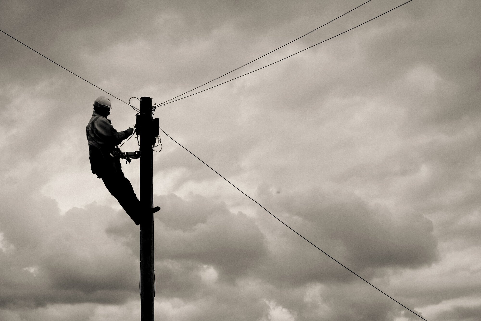 LIneman Camera: Fujifilm X-T3 Shutter speed: 1/650 sec Aperture: f/7.1 ISO: 160 Photo: Kirk McElhearn