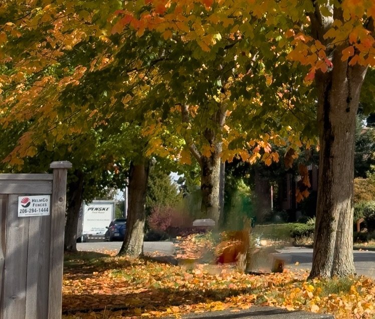 Using the new Generative Remove feature in Lightroom Classic. In this image, the normal Remove tool has been used, creating a mess of pixels borrowed from elsewhere in the image. (Image: Jeff Carlson)