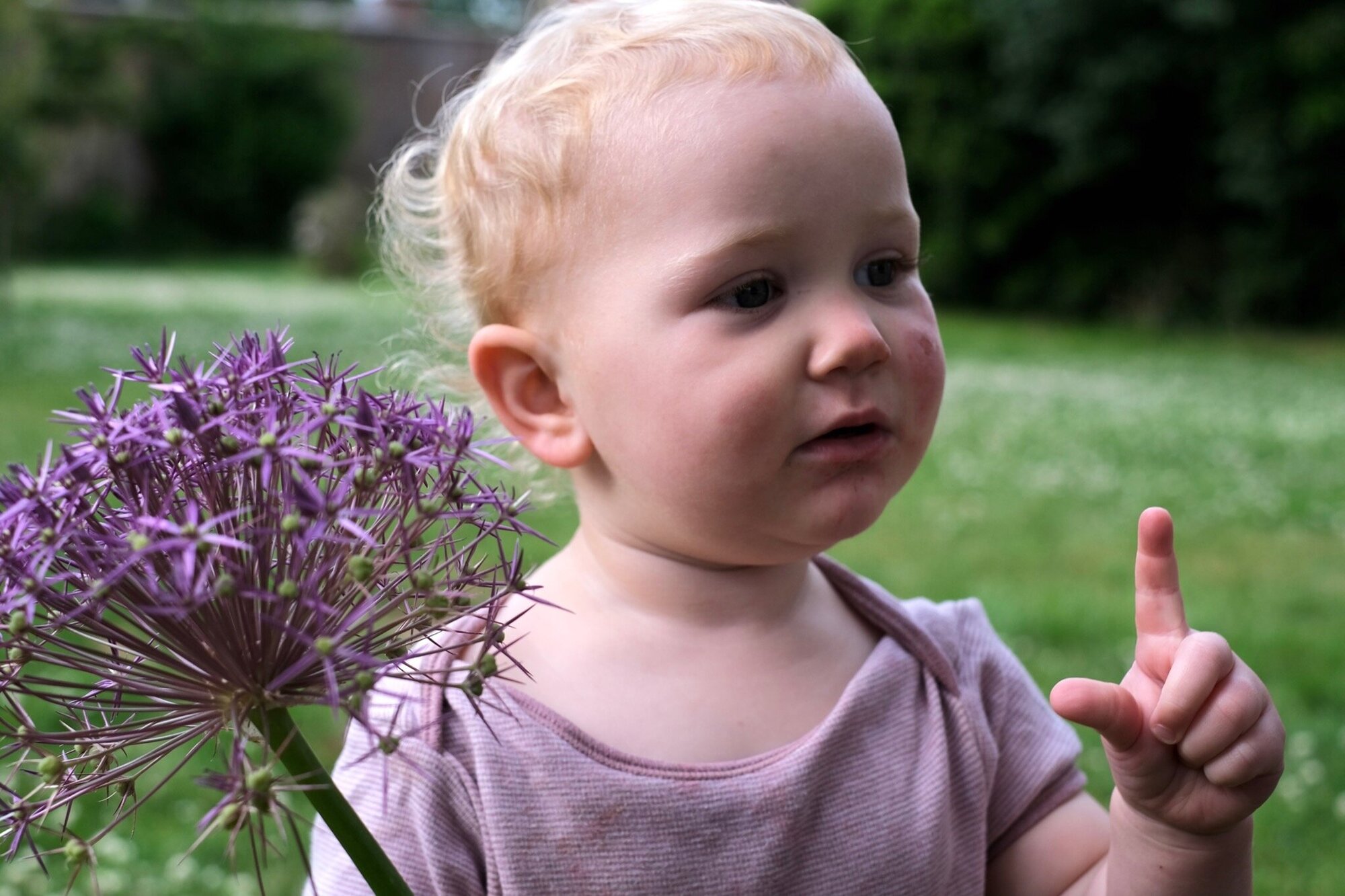 Fleur, photo by Kirk McElhearn