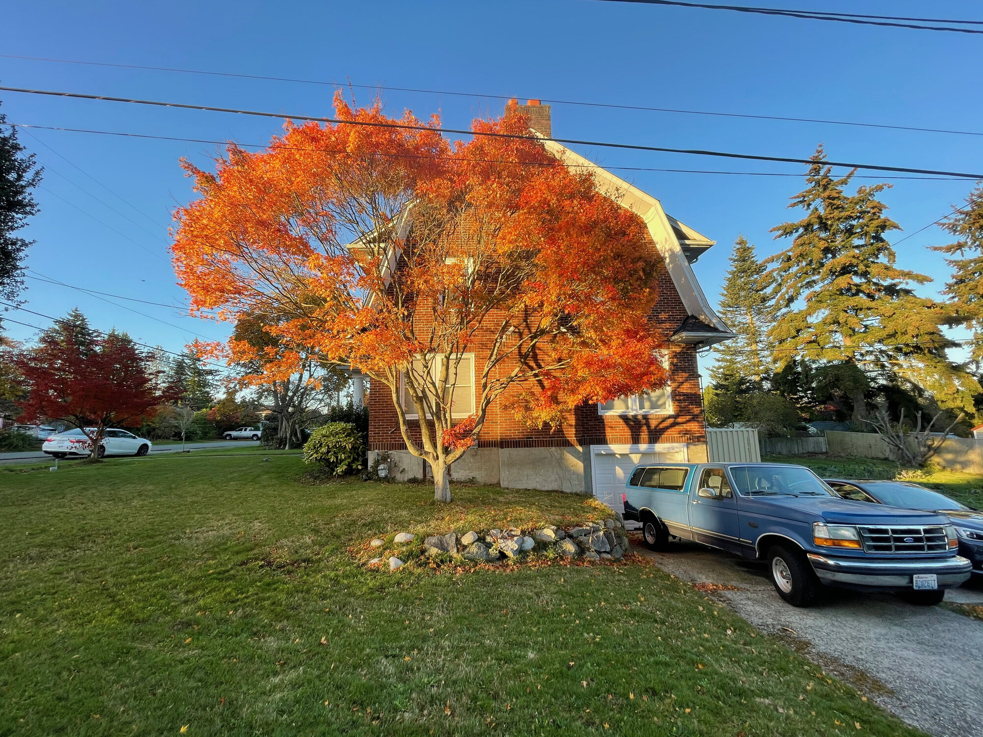 iPhone 12 Pro, Ultra-Wide lens, photo by Jeff Carlson