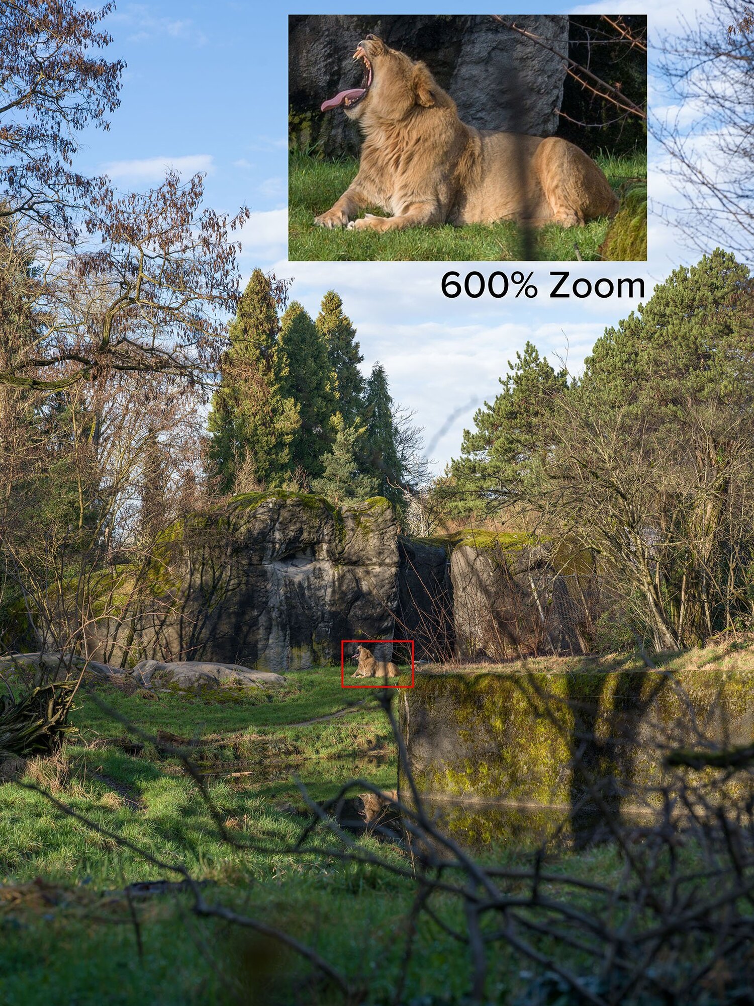Here’s what 100MP can give you. (Photo by Jeff Carlson)