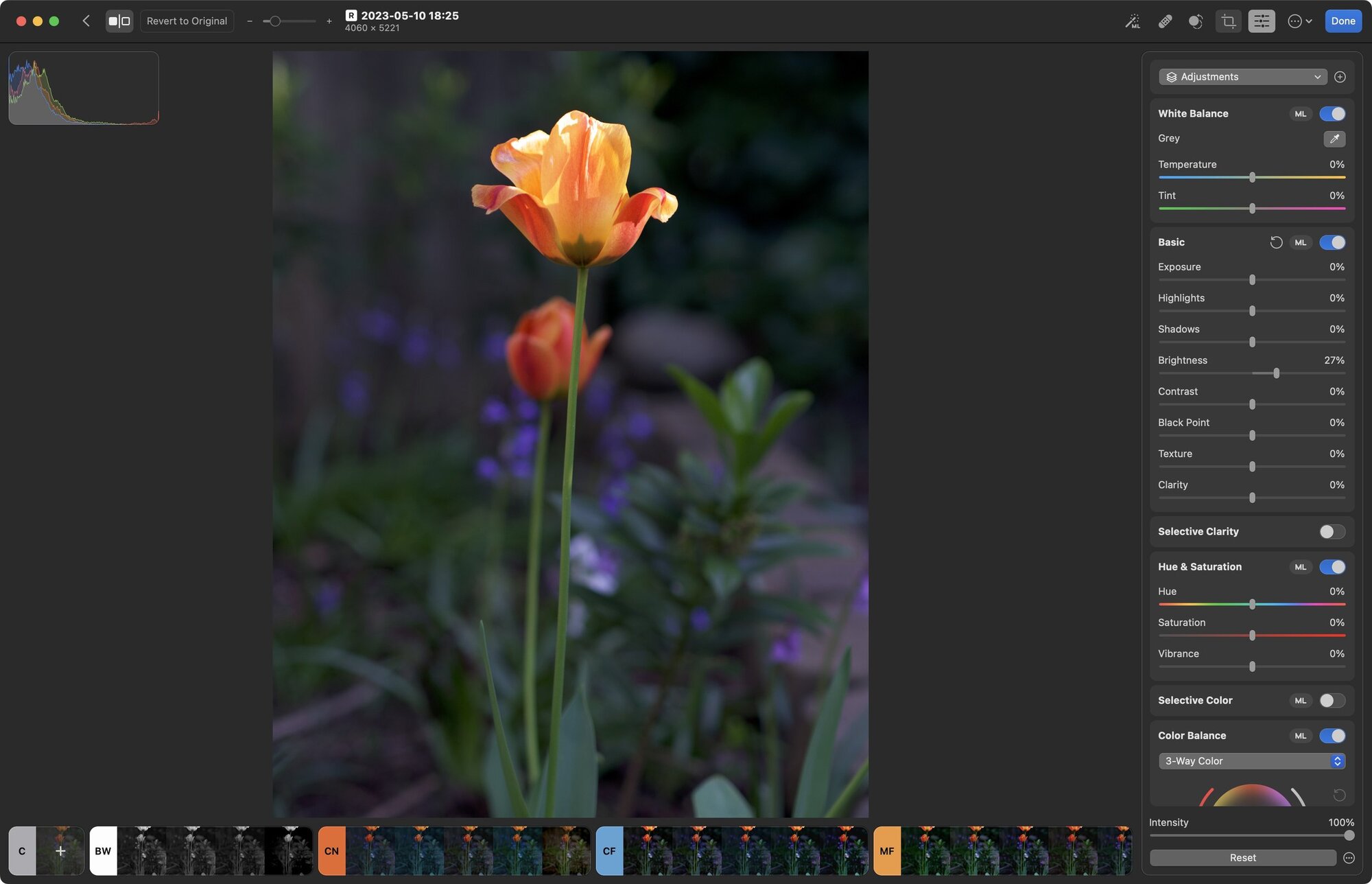 The Photomator interface. /Photo by Jeff Carlson