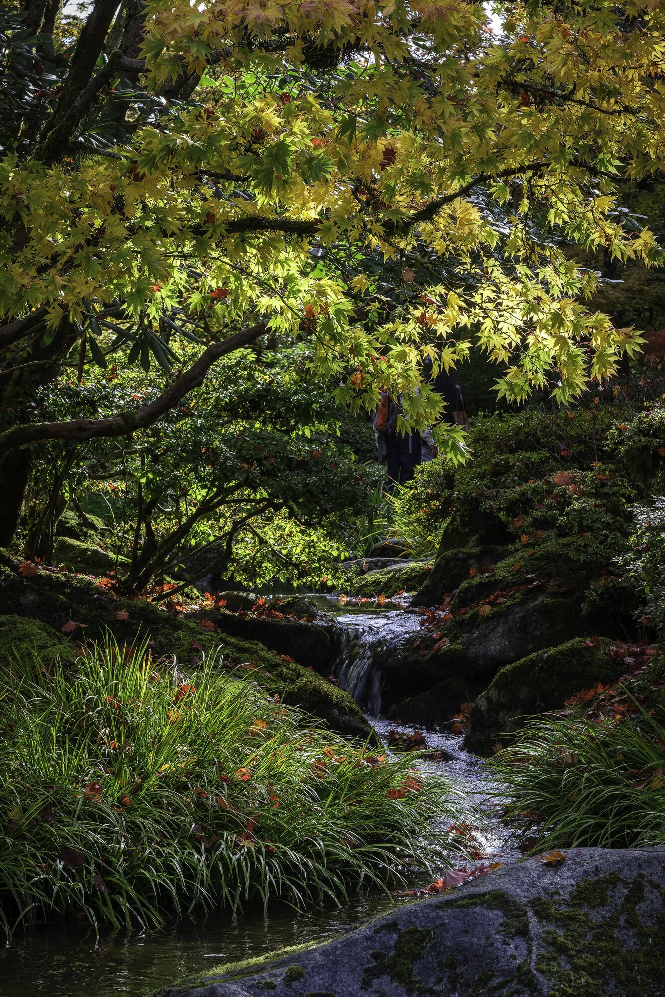 This idyllic image from the Seattle Japanese Garden is slightly marred by the presence of visitors in the middle of the frame. (Photo by Jeff Carlson)