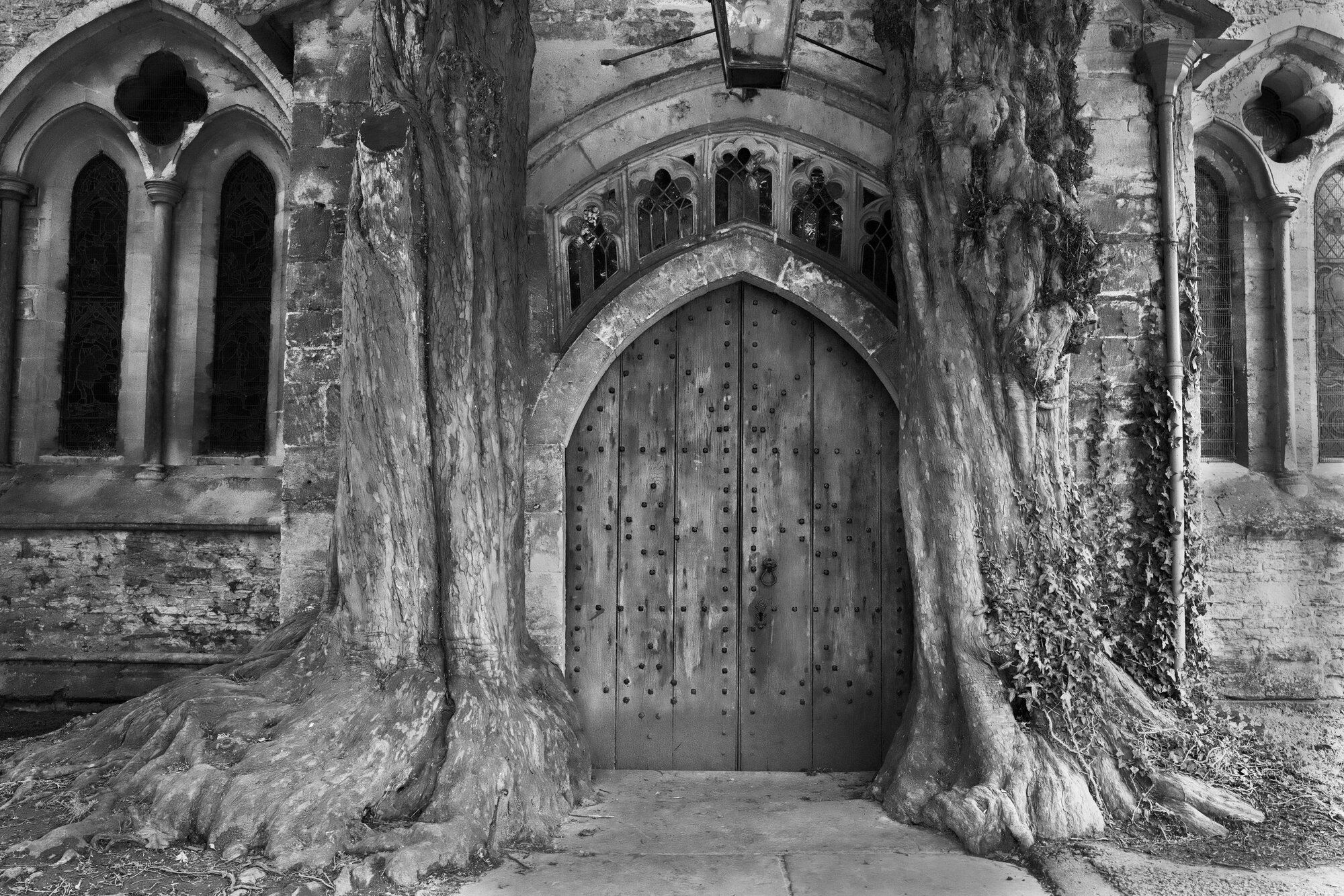 The Tolkein Door (Photo by Kirk McElhearn)