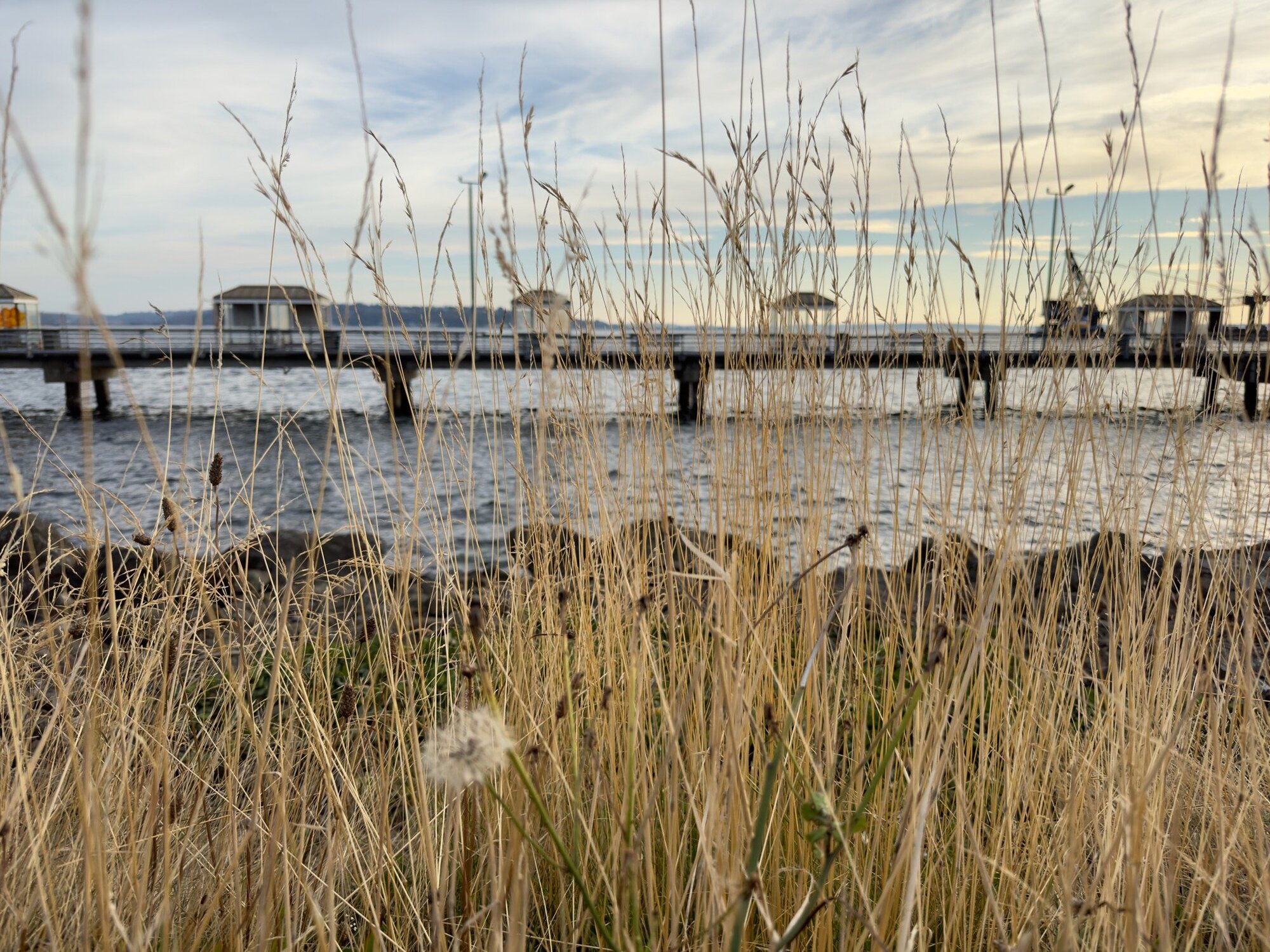 iPhone 14 Pro Main Camera (Photo by Jeff Carlson)