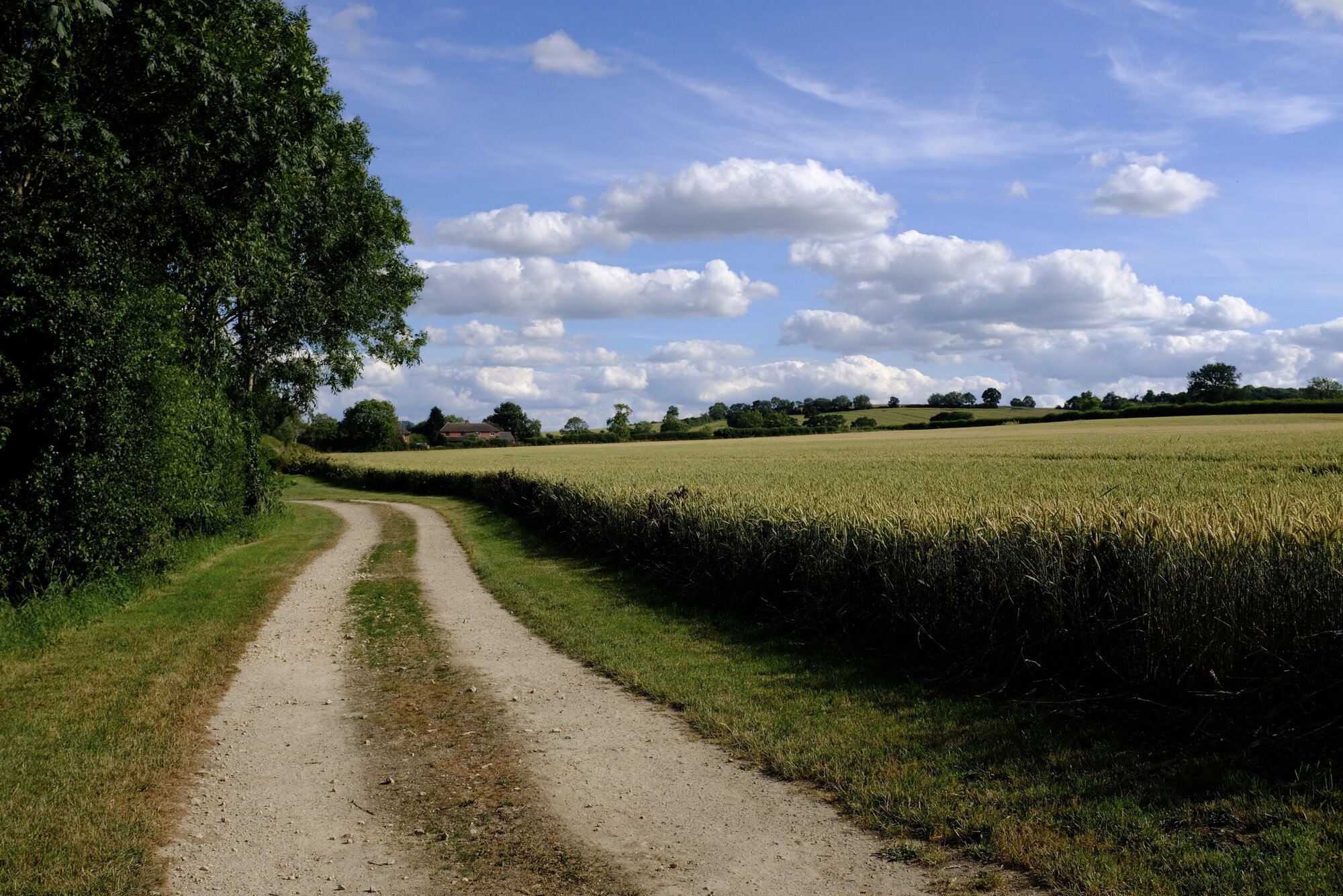 Path Camera: Fujifilm X100F Shutter speed: 1/1900 sec Aperture: f/5.6 ISO: 400 Photo: Kirk McElhearn