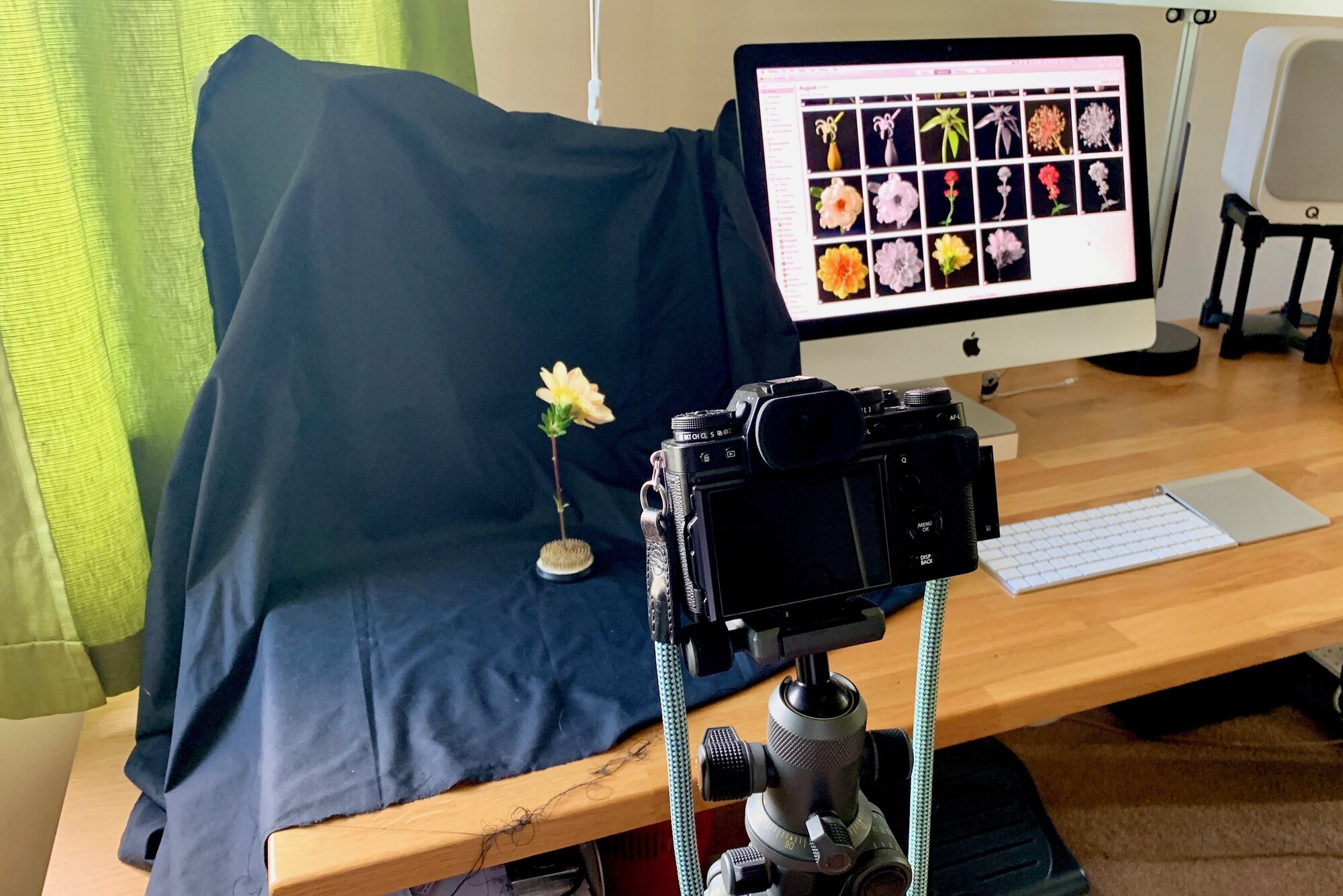 Kirk’s fancy photo studio Camera: iPhone XS Max Shutter speed: 1/60 sec Aperture: f/1.8 ISO: 320 Photo: Kirk McElhearn