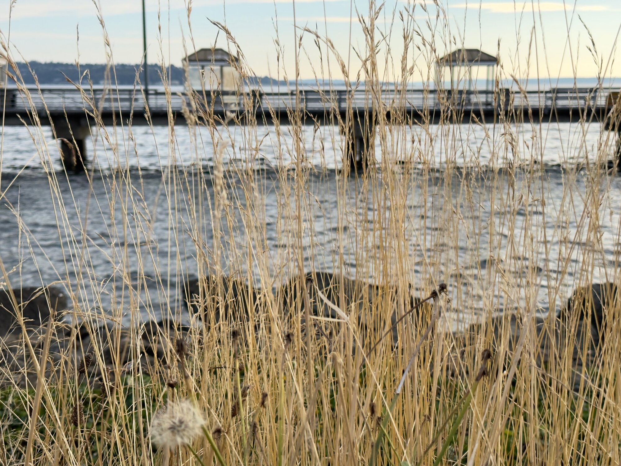 iPhone 14 Pro Telephoto Camera (Photo by Jeff Carlson)