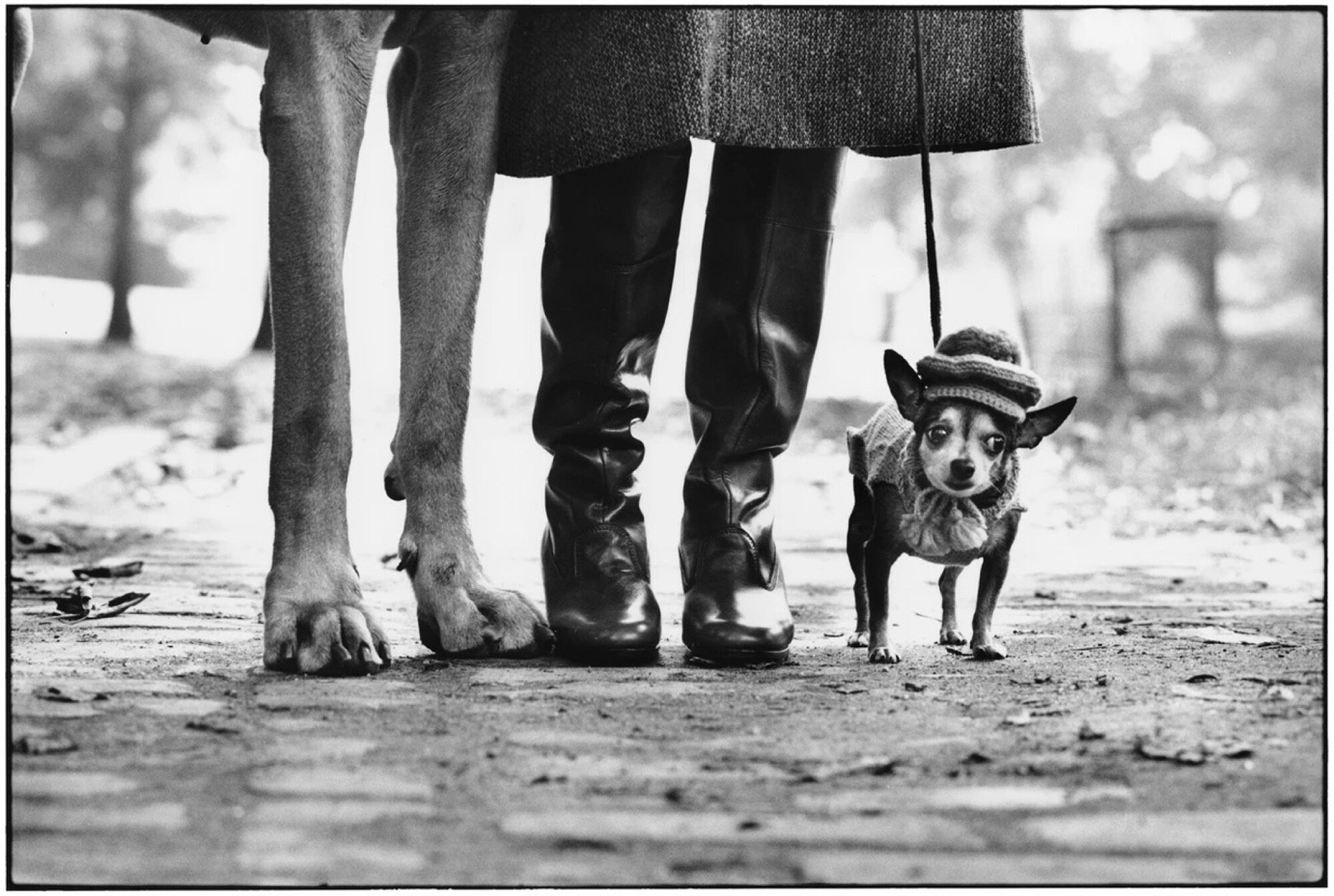 Erwitt, Elliot: USA, New York City, 1974