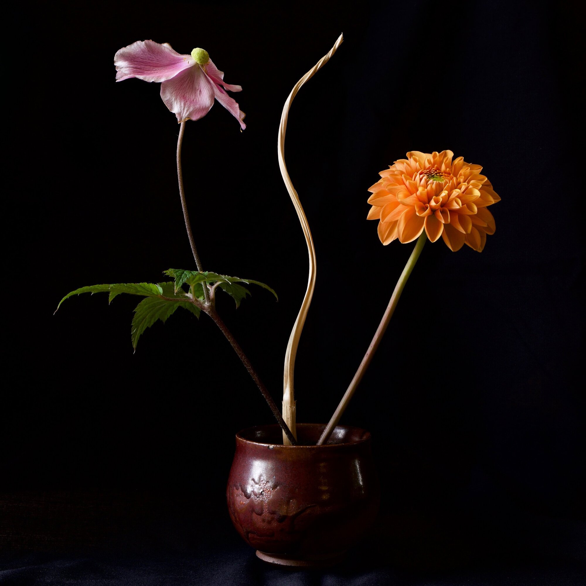 Ikebana Camera: Fujifilm X-T3 Shutter speed: 1/3 sec Aperture: f/8 ISO: 160 Photo: Kirk McElhearn