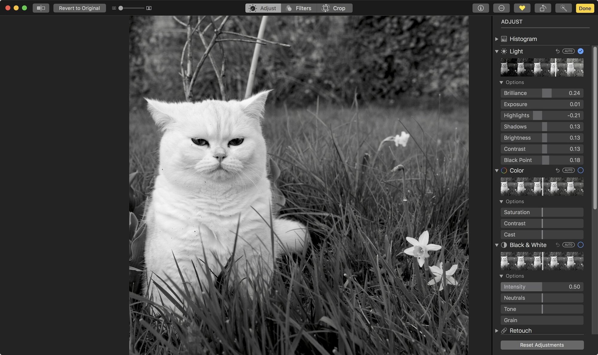 This photo was shot in black and white, using Fujifilm's Acros film simulation.