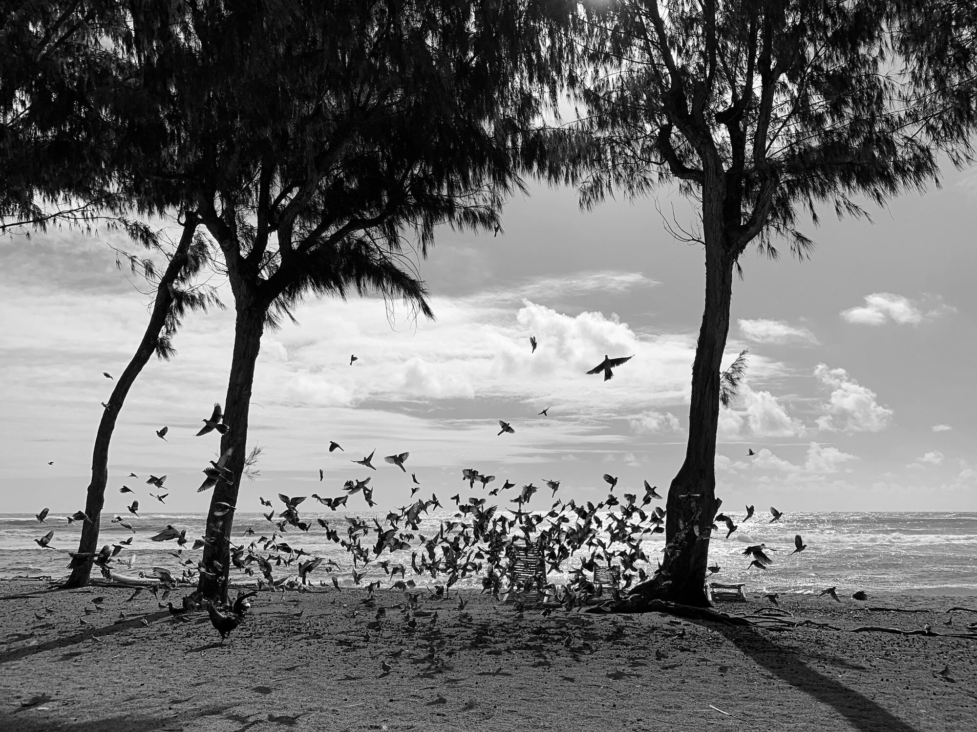 Jeff’s photo of a beach in Hawaii.