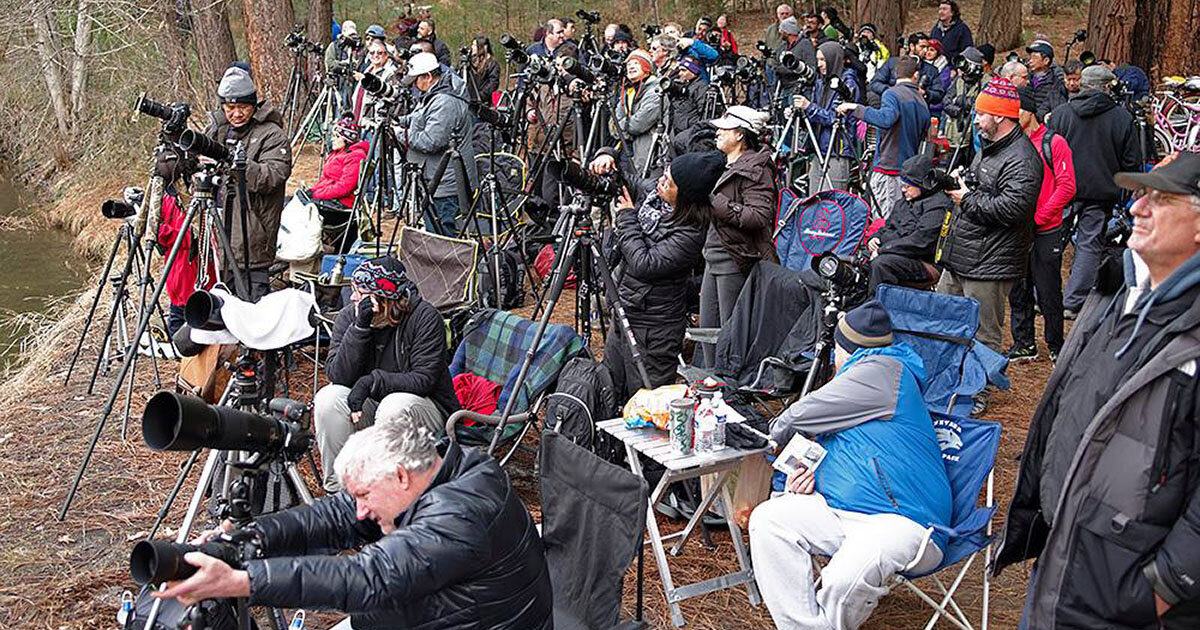 Crowds at Yosemite to photograph the “Firefall” (from the PetaPixel article )