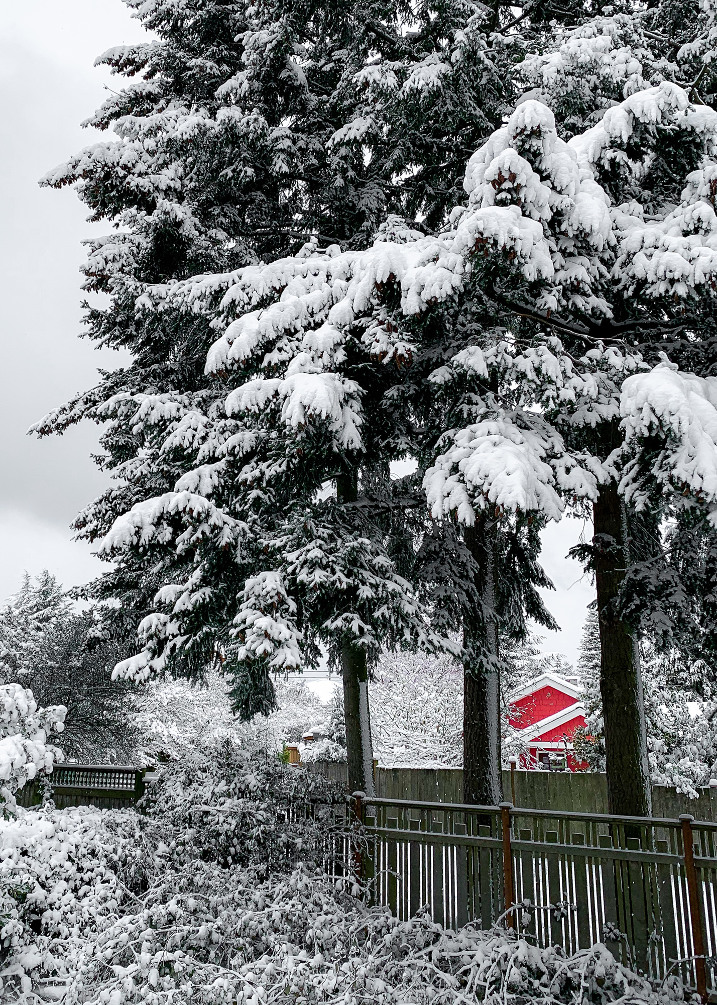 Red house in the snow Camera: iPhone XS Shutter speed: 1/750 sec Aperture: f/1.8 ISO: 25 Photo: Jeff Carlson