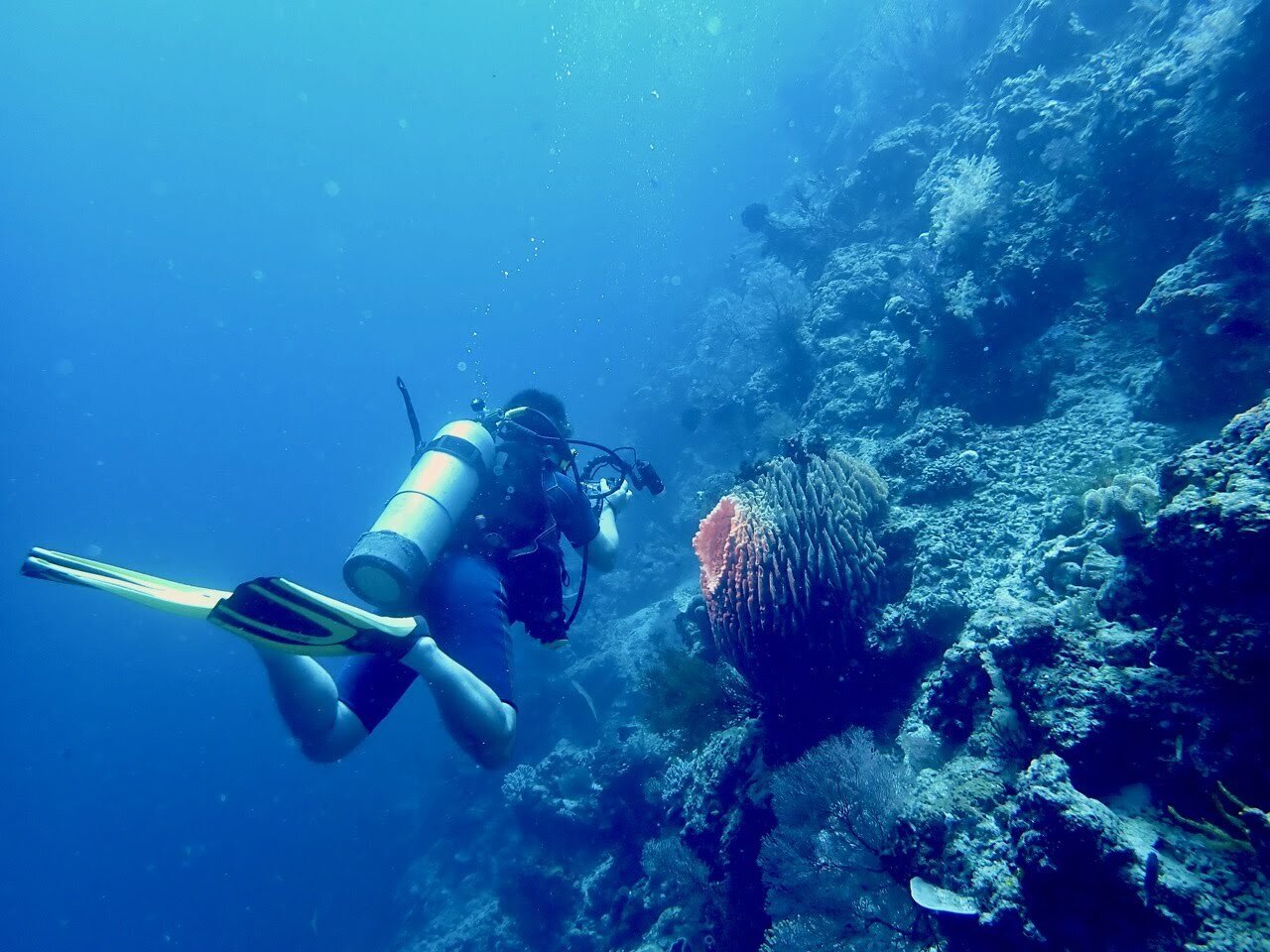 Pierre Bernard diving in Bali, no doubt thinking chiefly about location coordinates