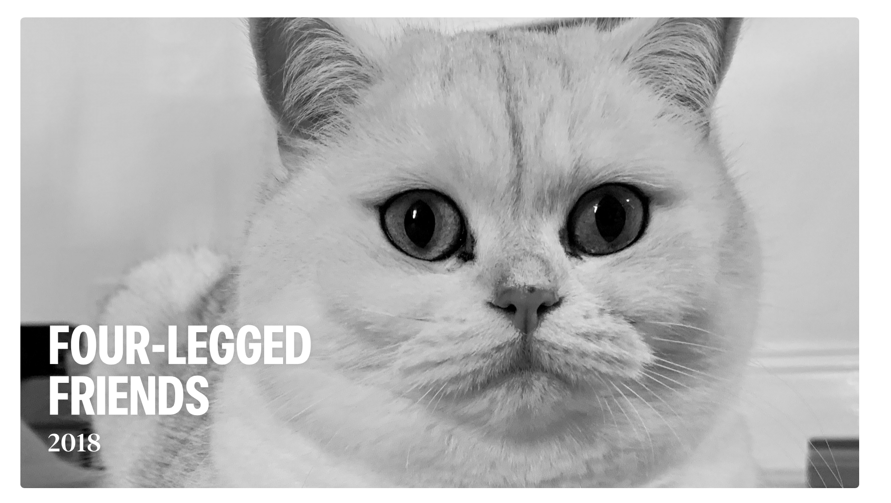 The cover of Kirk’s surprise Photos-generated slideshow.